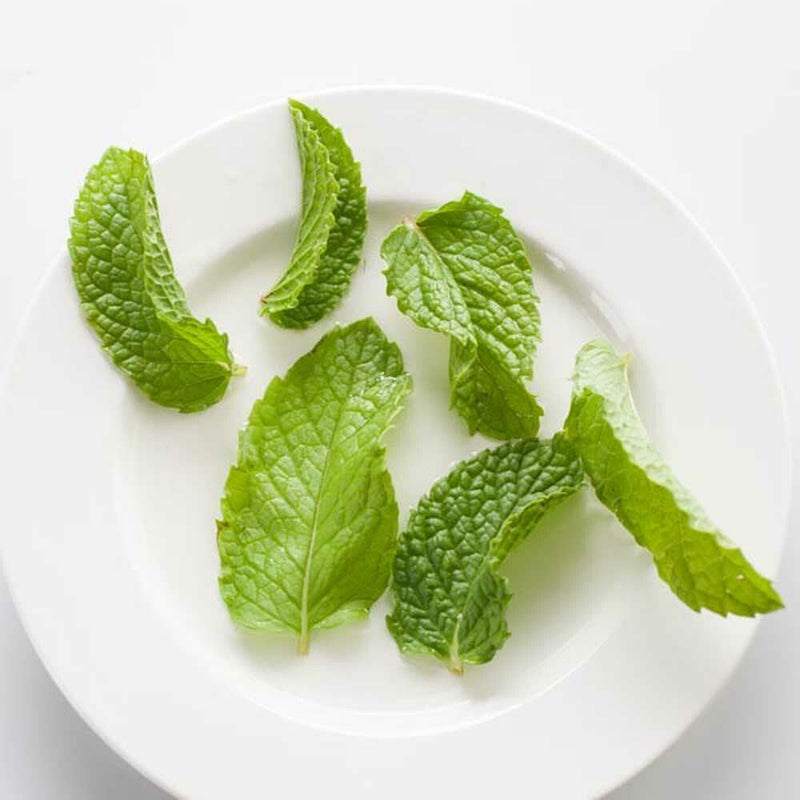 Cornmint