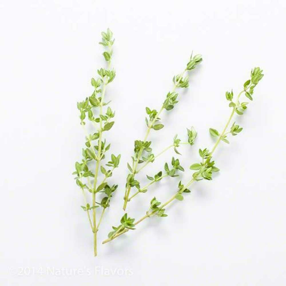 Thyme