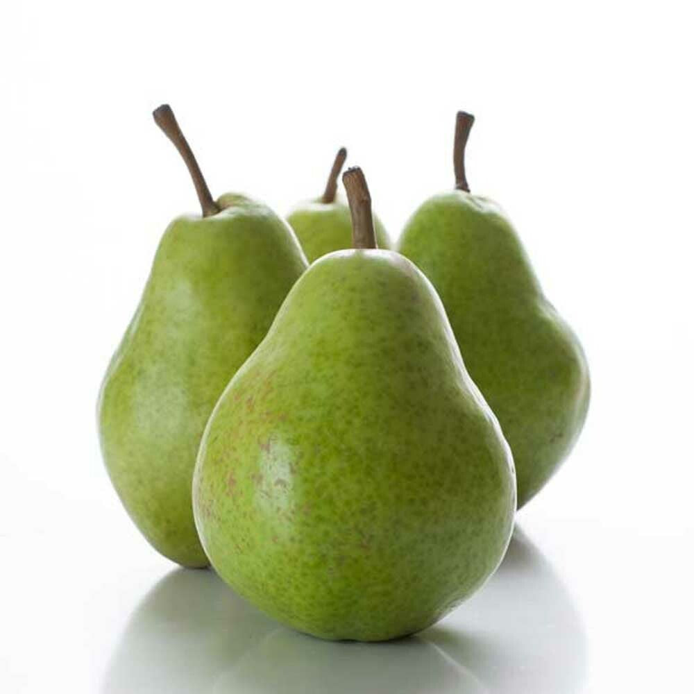 Pear