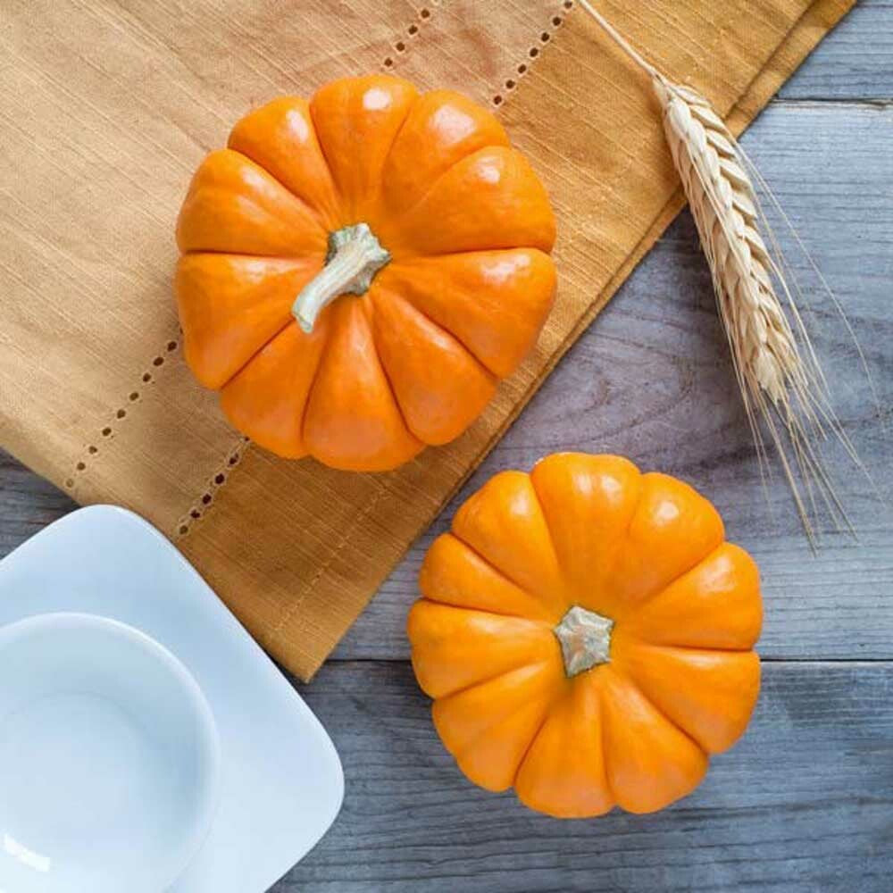 Pumpkin