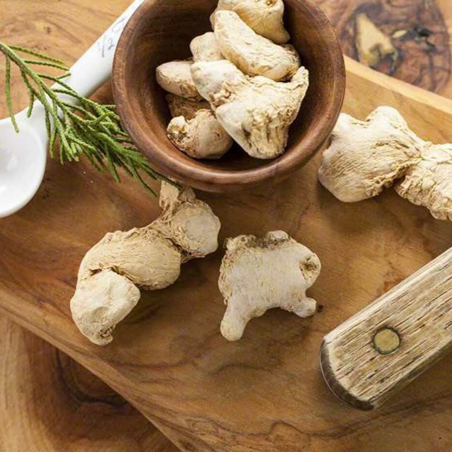 Ginger