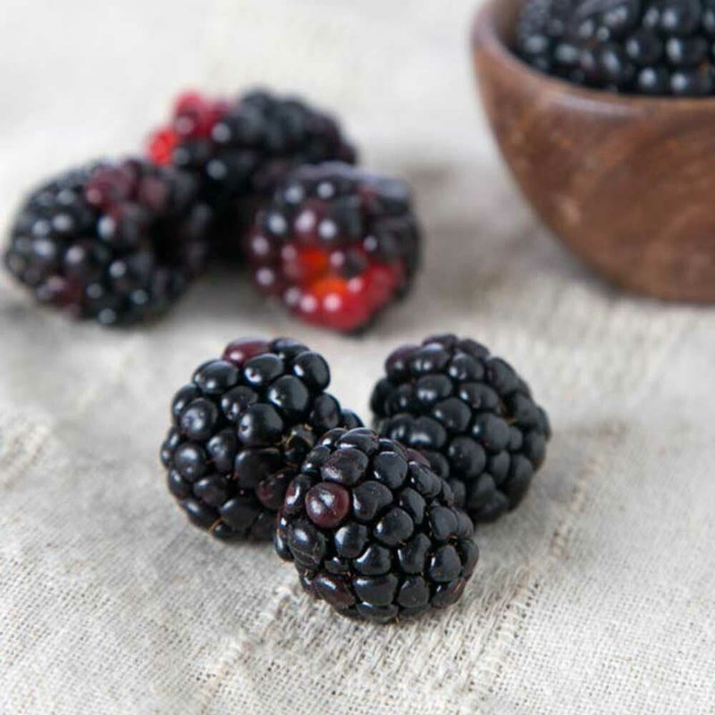 Black Raspberry Vanilla