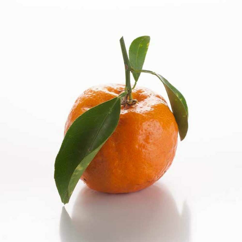 Tangerine