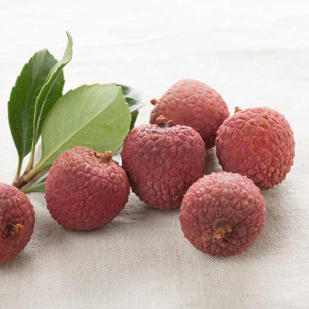 Lychee Love