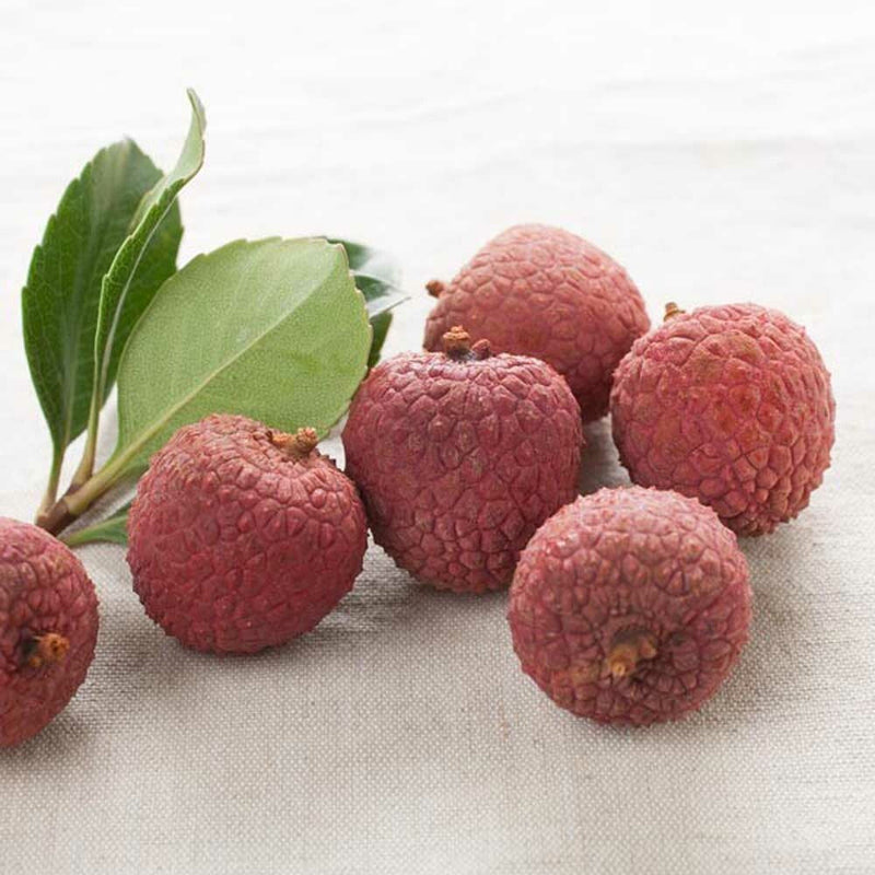 Lychee Love