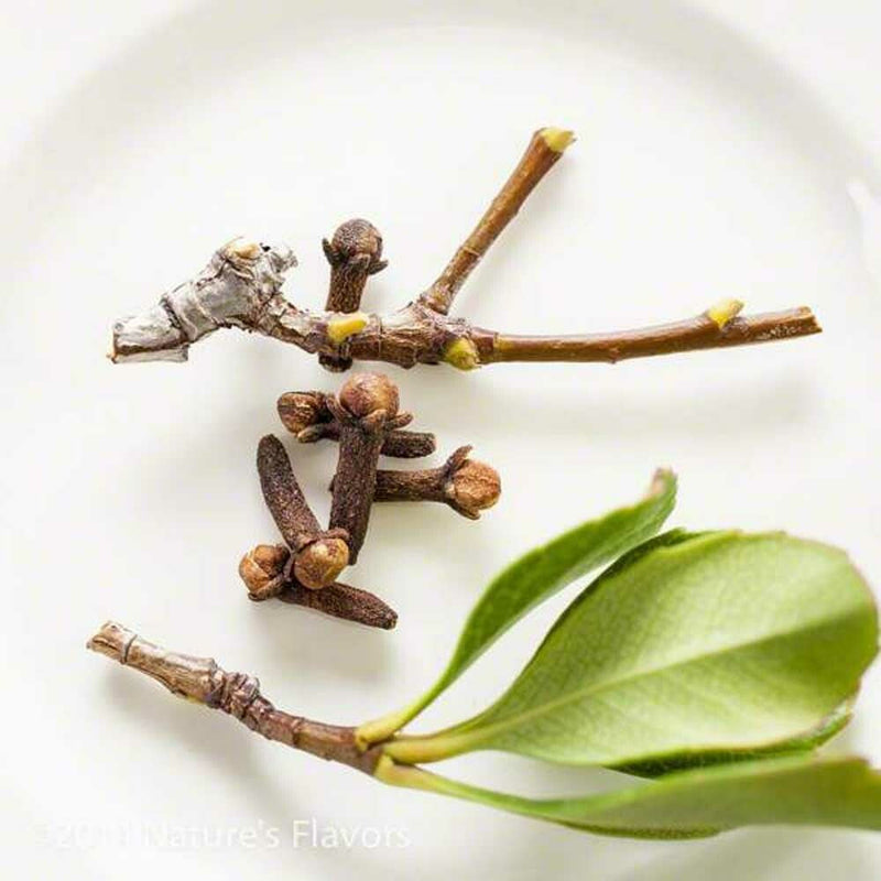 Clove Stem