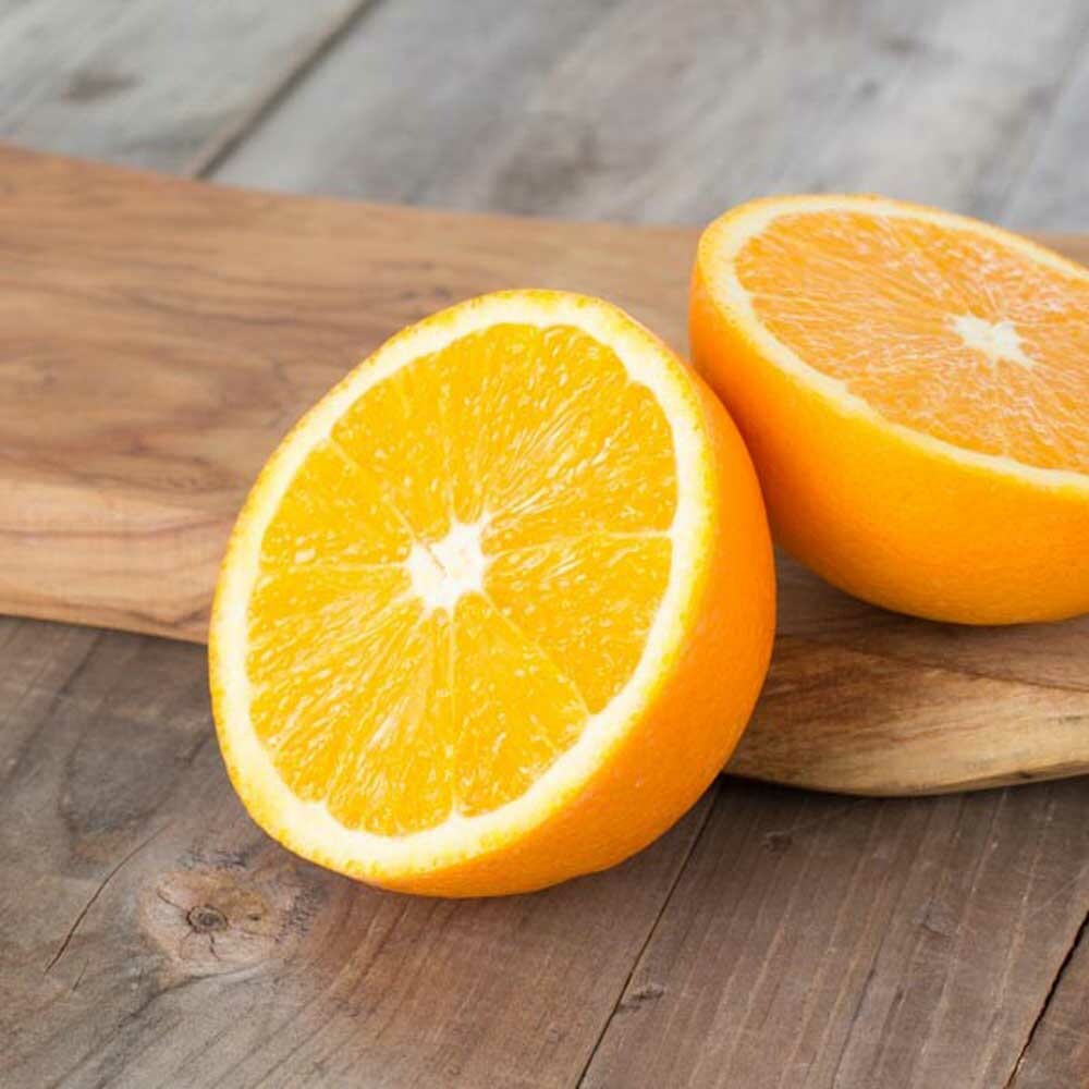 Tropical Orange