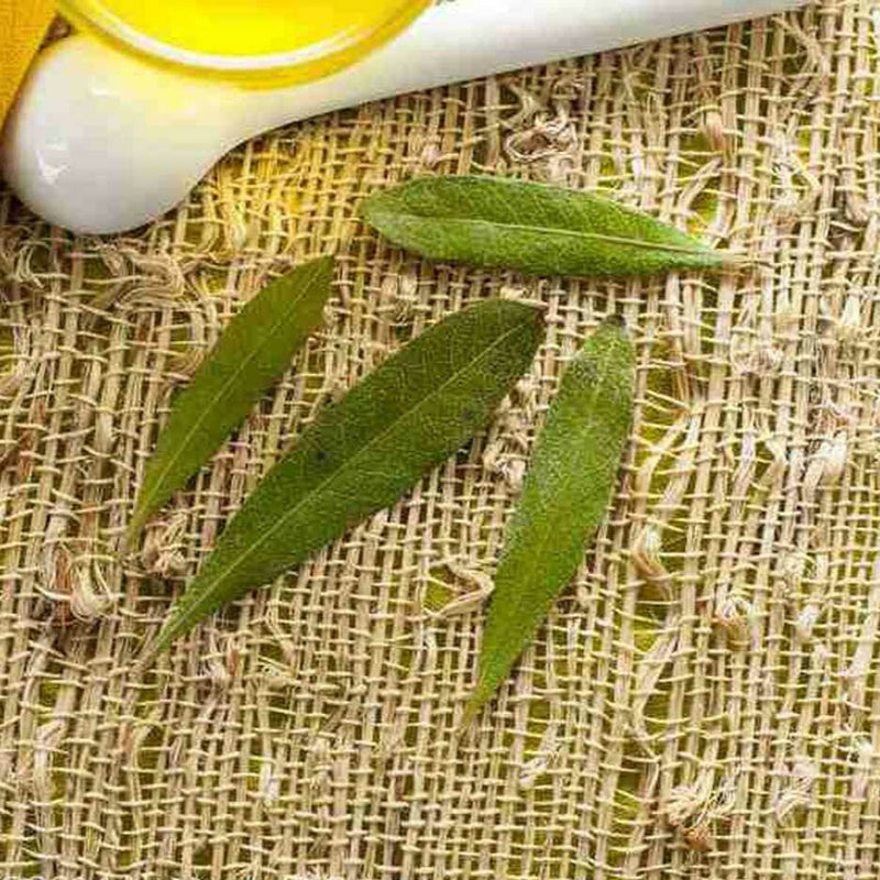Tea Tree
