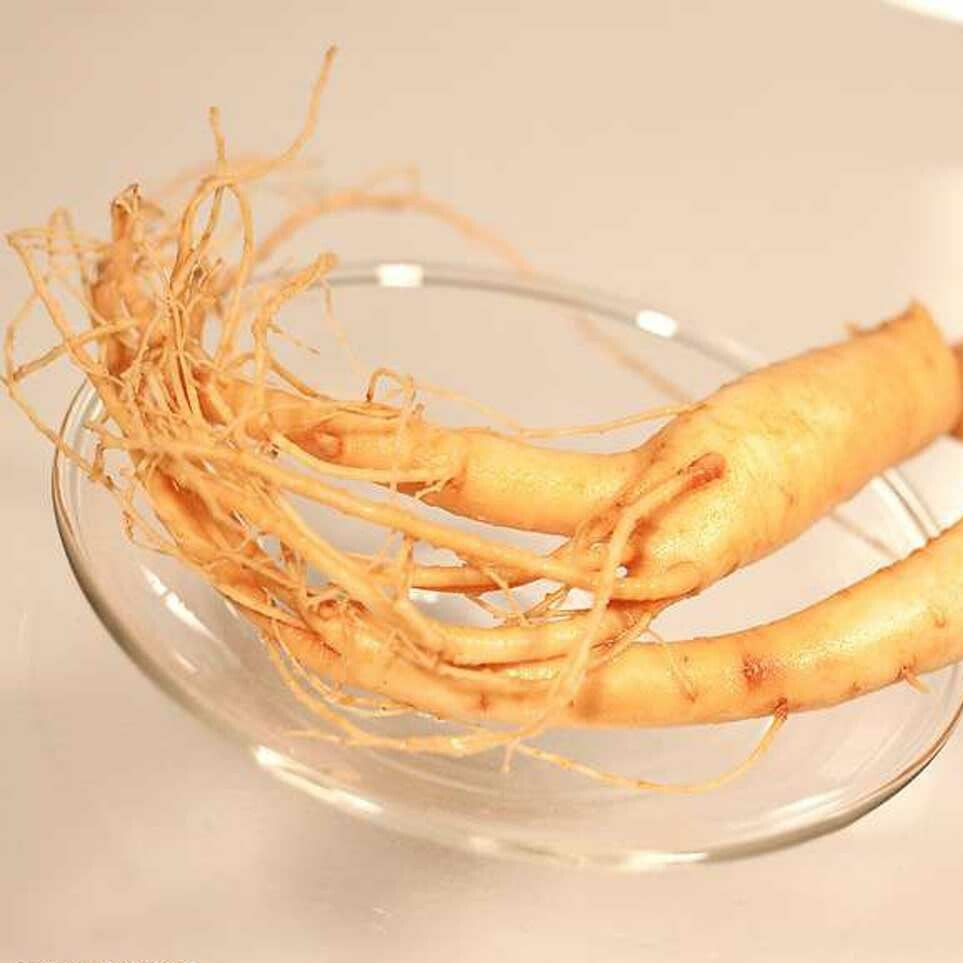 Ginseng
