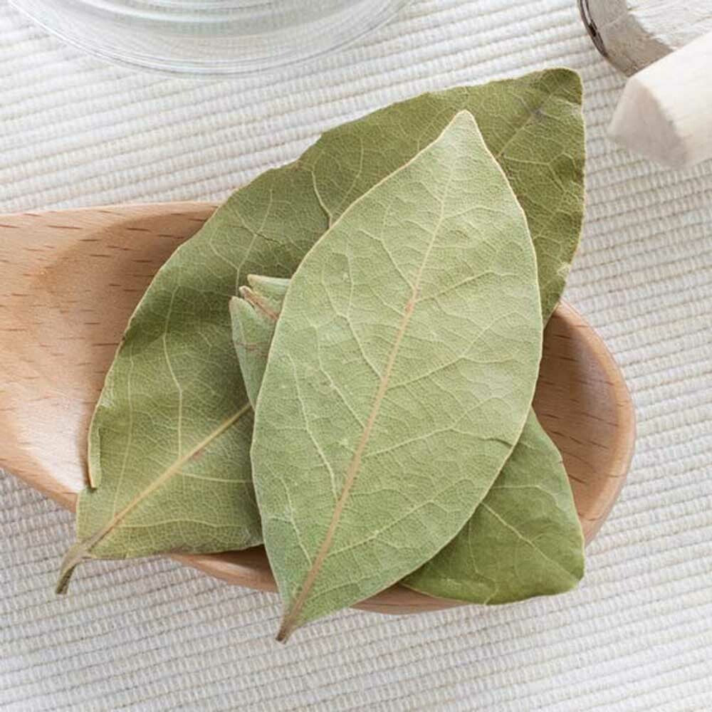 Buchu Leaf