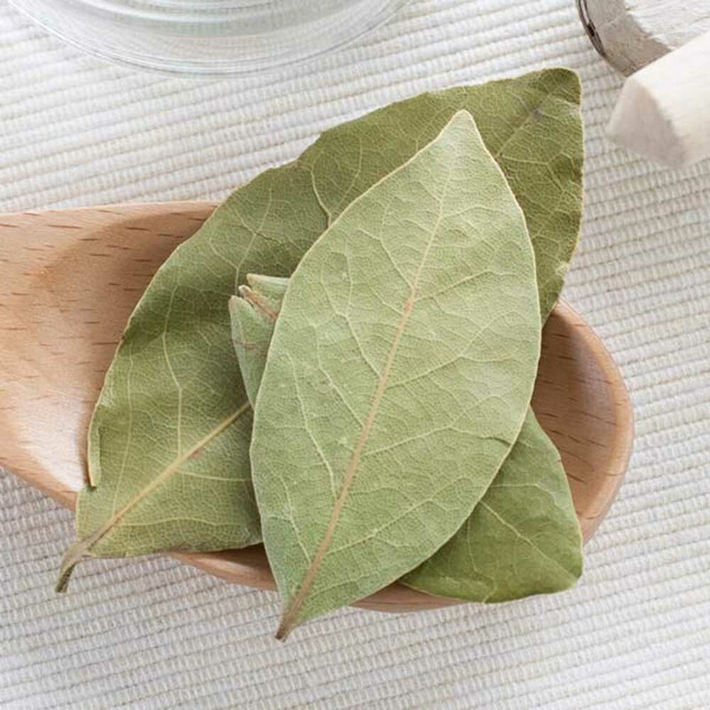 Buchu Leaf
