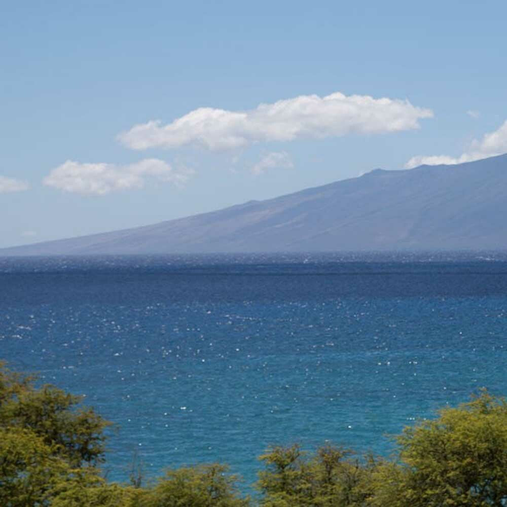 Calm Sea