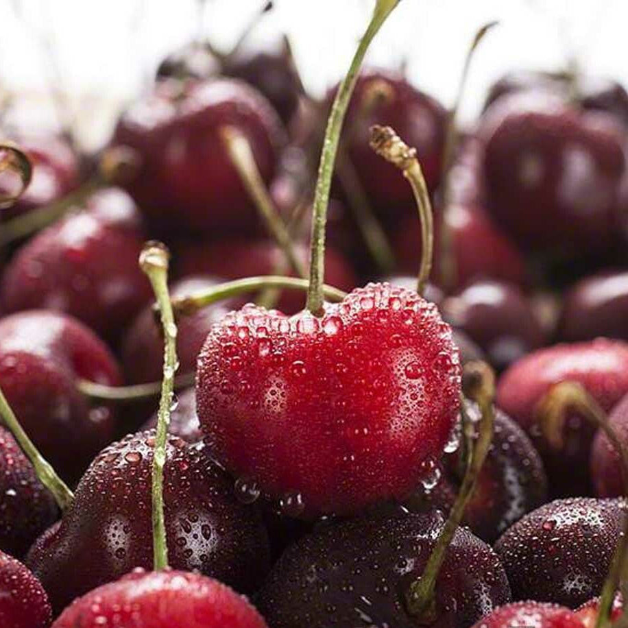 Cherry (Mid Summer)