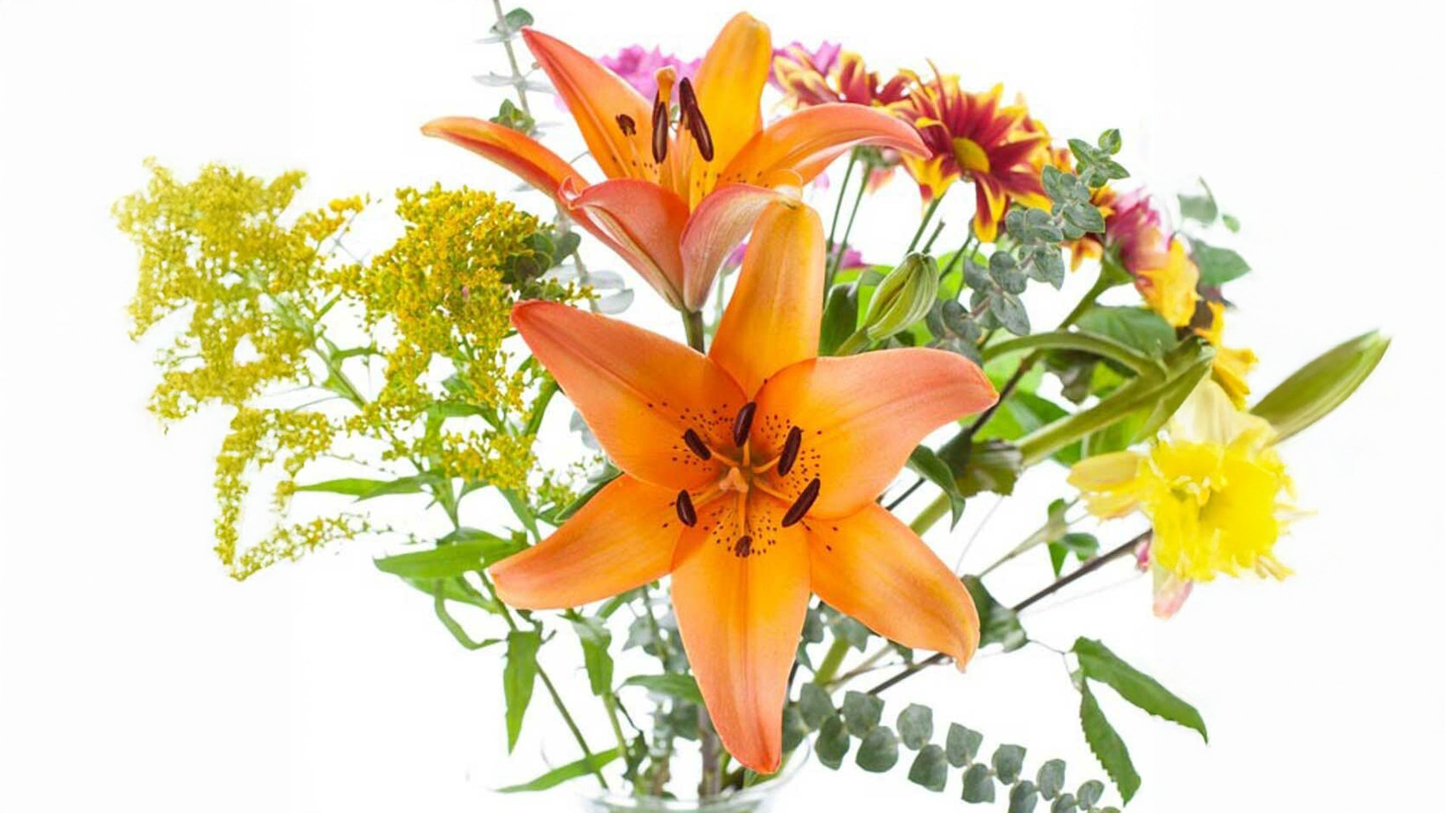natural flavors natural fragrances natural fragrance emulsions water soluble