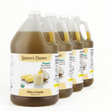 Pina Colada Snow Cone Syrup, Organic