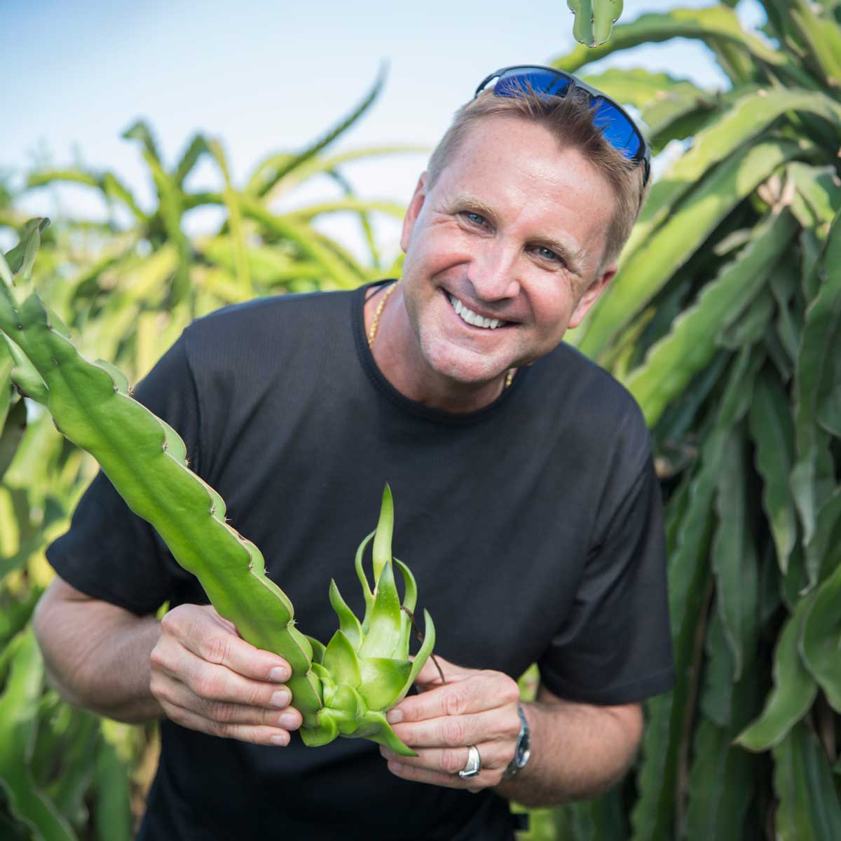 Man holding a dragon fruit plant in a field