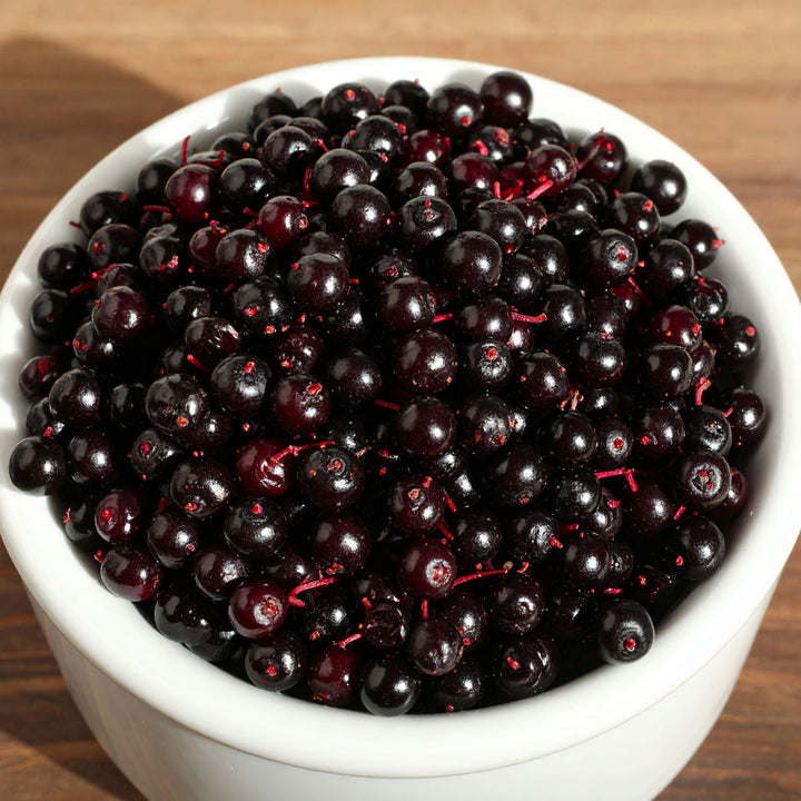 Elderberry Flavor Oil, Organic