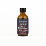 Organic Flavor Concentrate, Black Currant