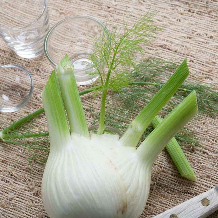 Organic Anise Flavor Extract Without Diacetyl