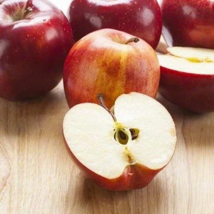 Apple Flavor Concentrate for Beverages, Organic