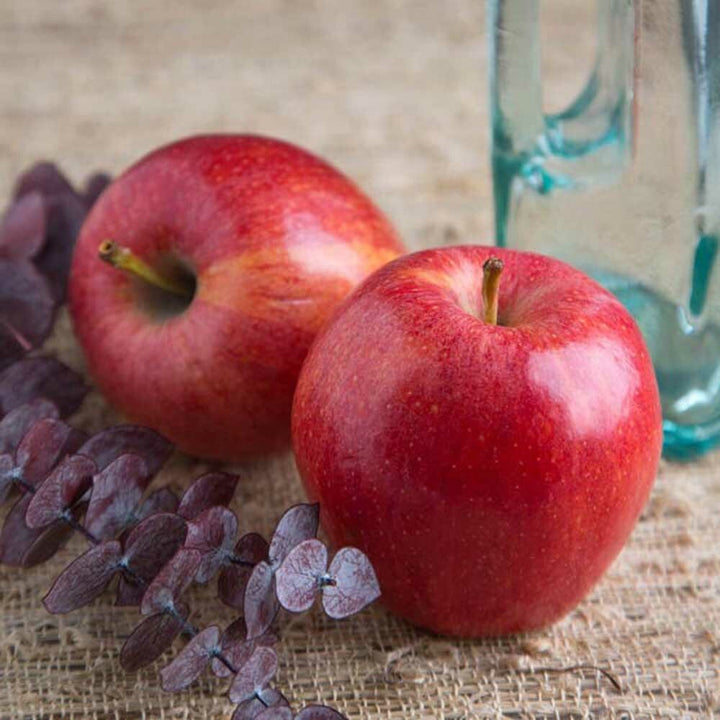 Organic Apple Coffee and Tea Flavoring Without Diacetyl