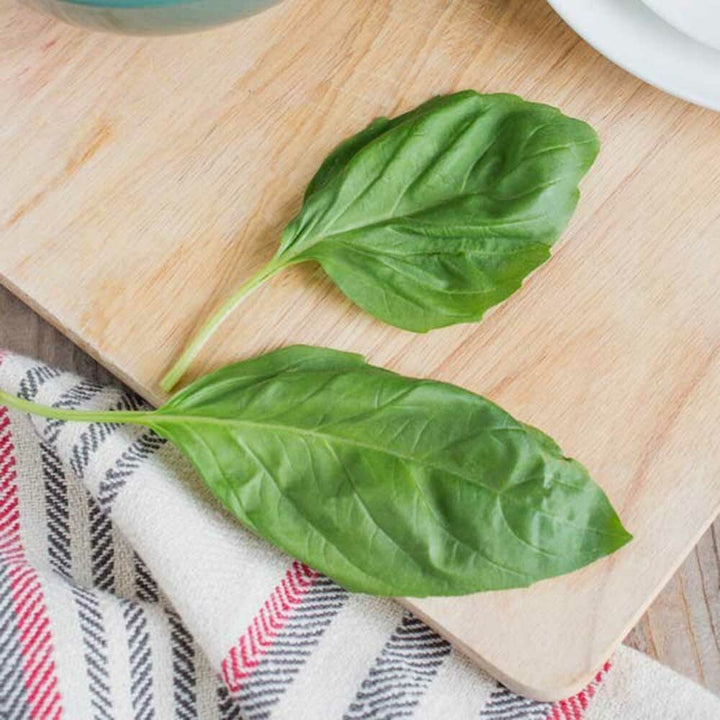 Organic Basil Flavor Extract Without Diacetyl