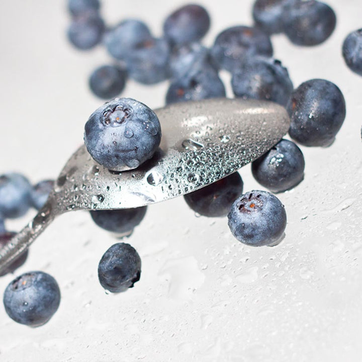 Drum Dried Blueberry Powder