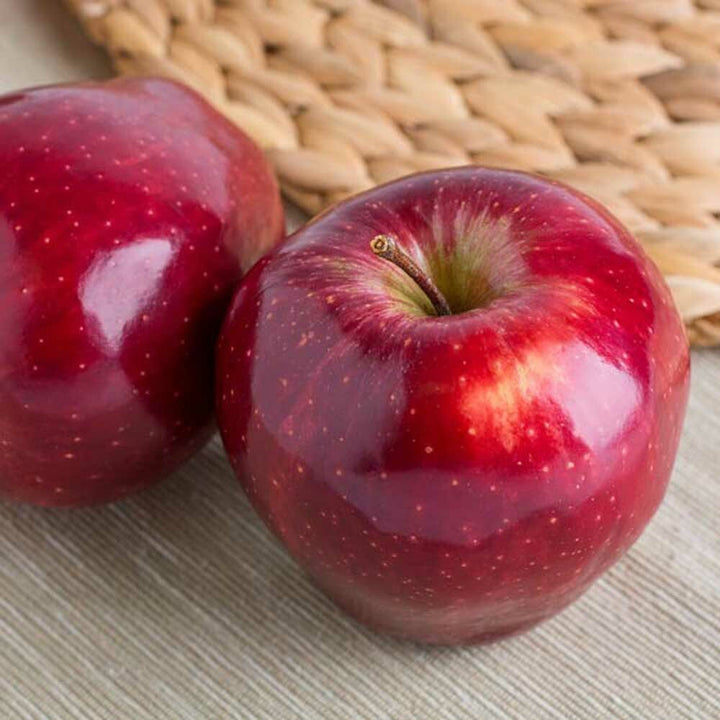 Apple Water Flavoring, Organic