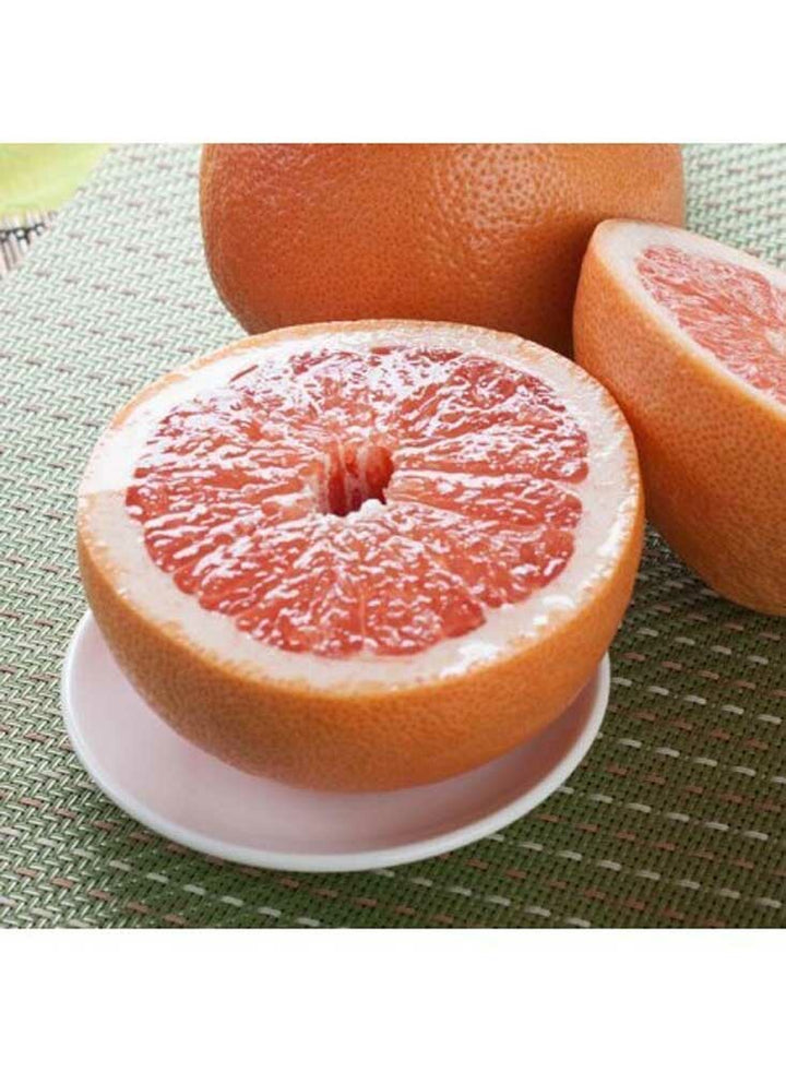 Pink Grapefruit Essential Oil, Natural