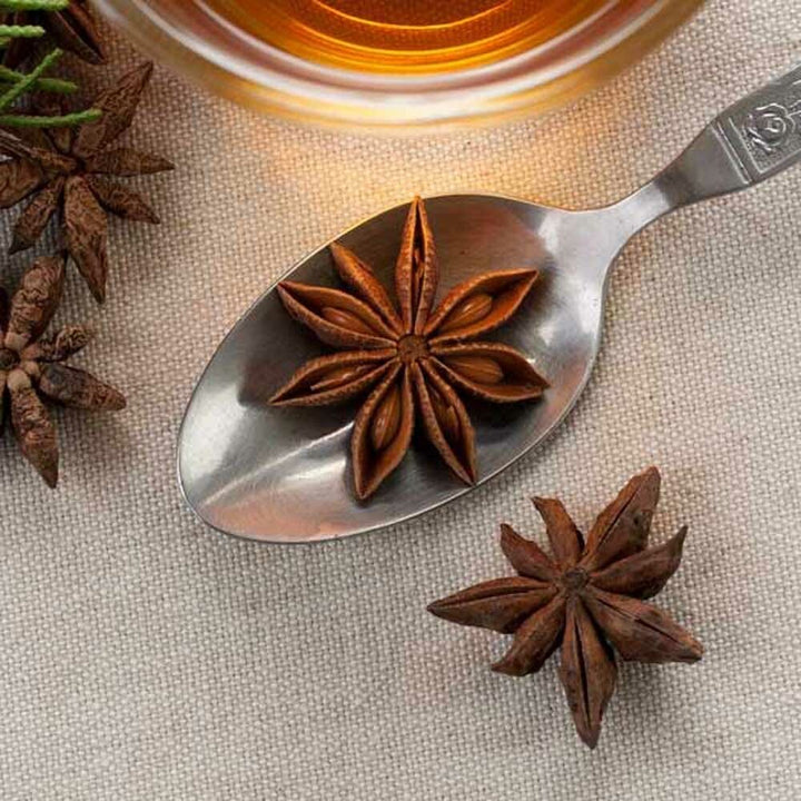 Anise Essential Oil (Terpeneless), Natural