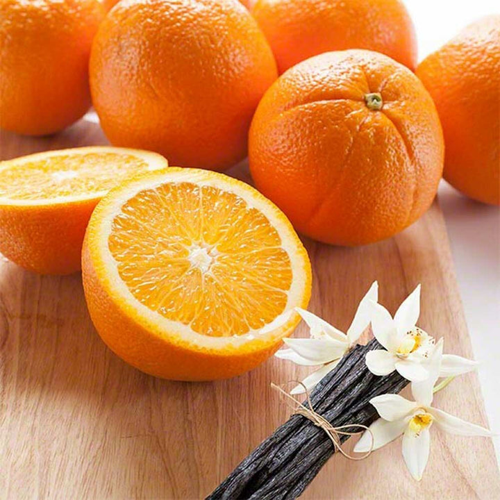 Orange Vanilla Flavor Concentrate, Organic