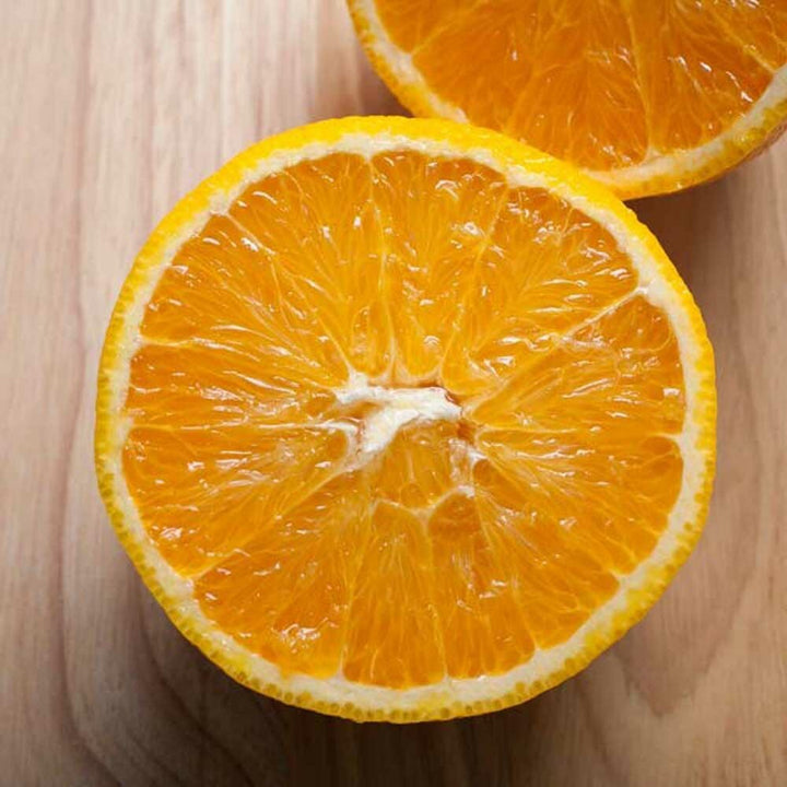 Orange Flavor Powder, Organic