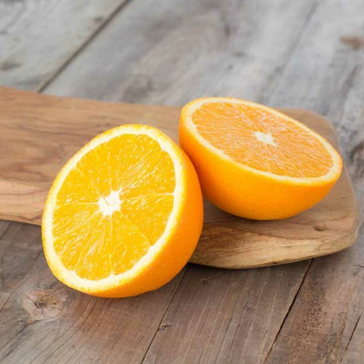 Orange Cream Flavor Concentrate Without Diacetyl