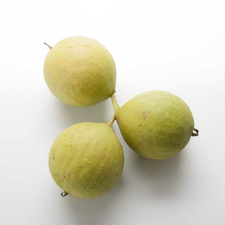 Black Walnut Flavor Extract, Organic