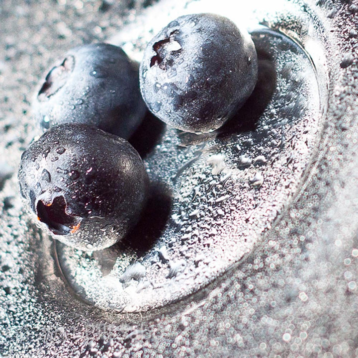 Xylitol Blueberry Smoothie/Shake Base (Kosher, Vegan, Gluten Free)