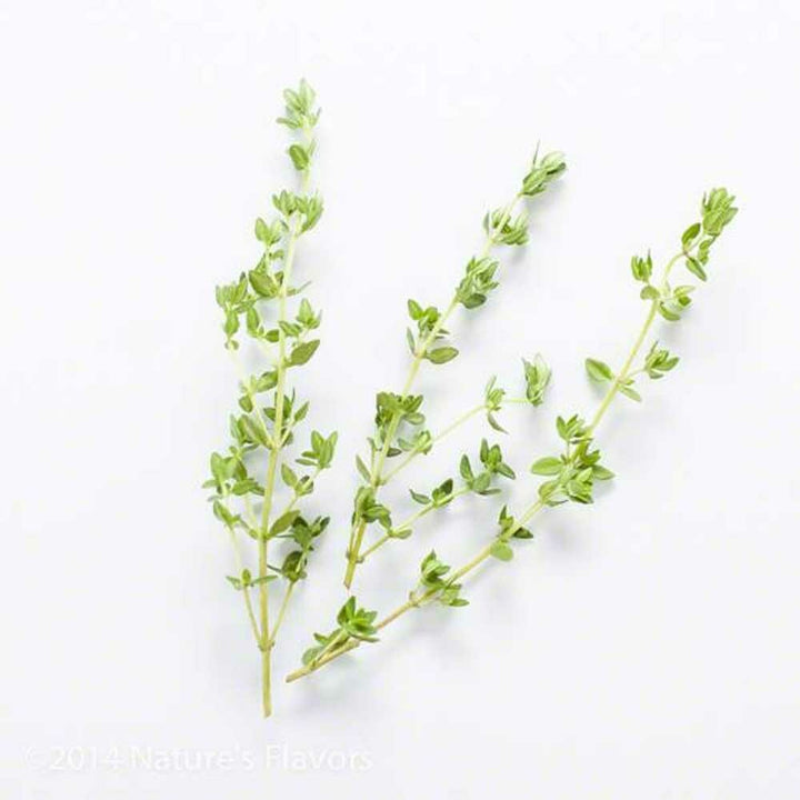 Sante Thyme Essential Oil