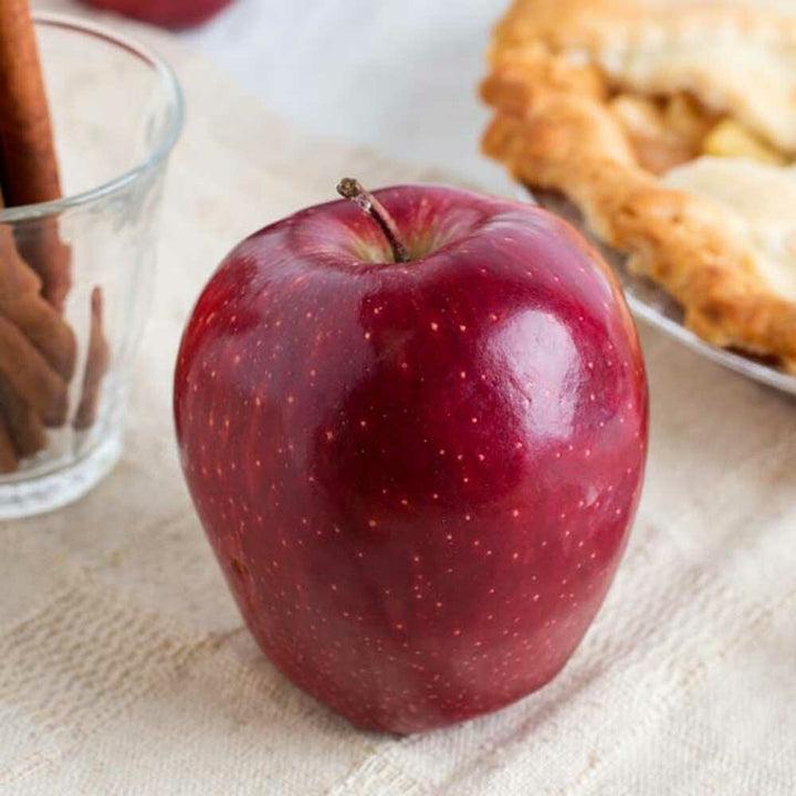 Apple Flavor Powder, Organic