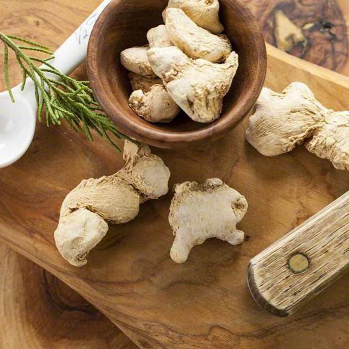 Sante Angelica Root Essential Oil