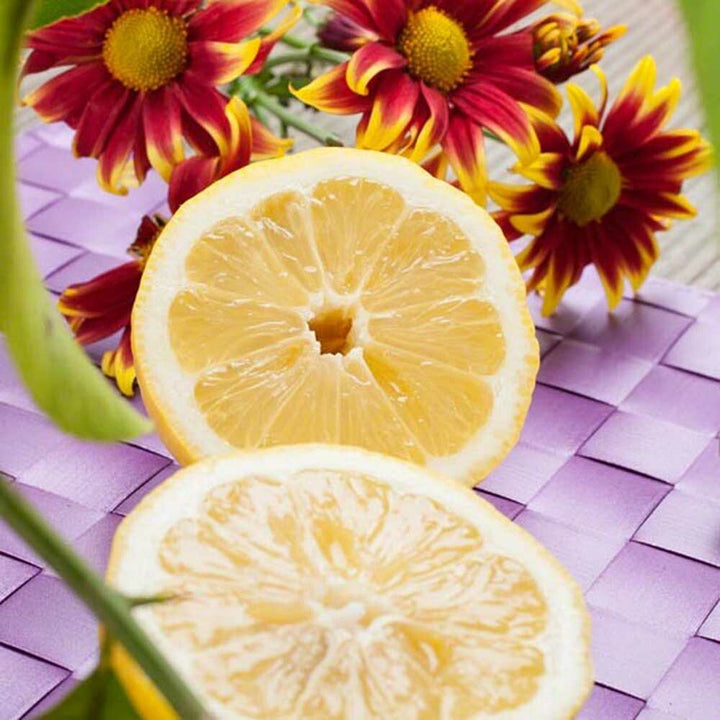 Lemon Syrup Powder, Sugar-Free