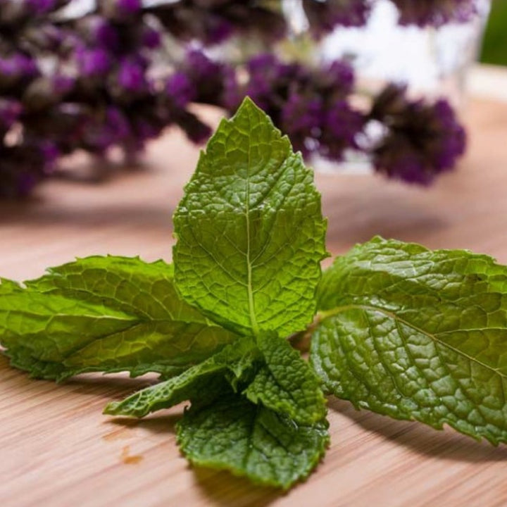 Peppermint Essential Oil, Natural