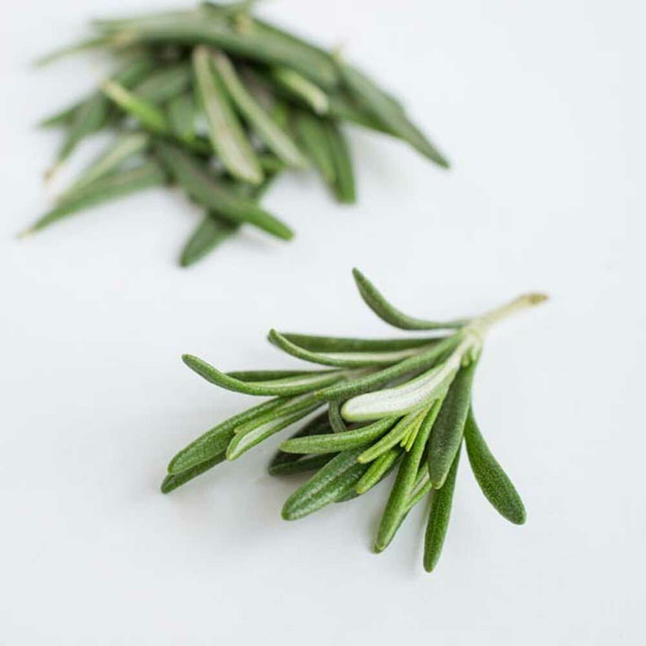 Organic Antioxidant with Rosemary