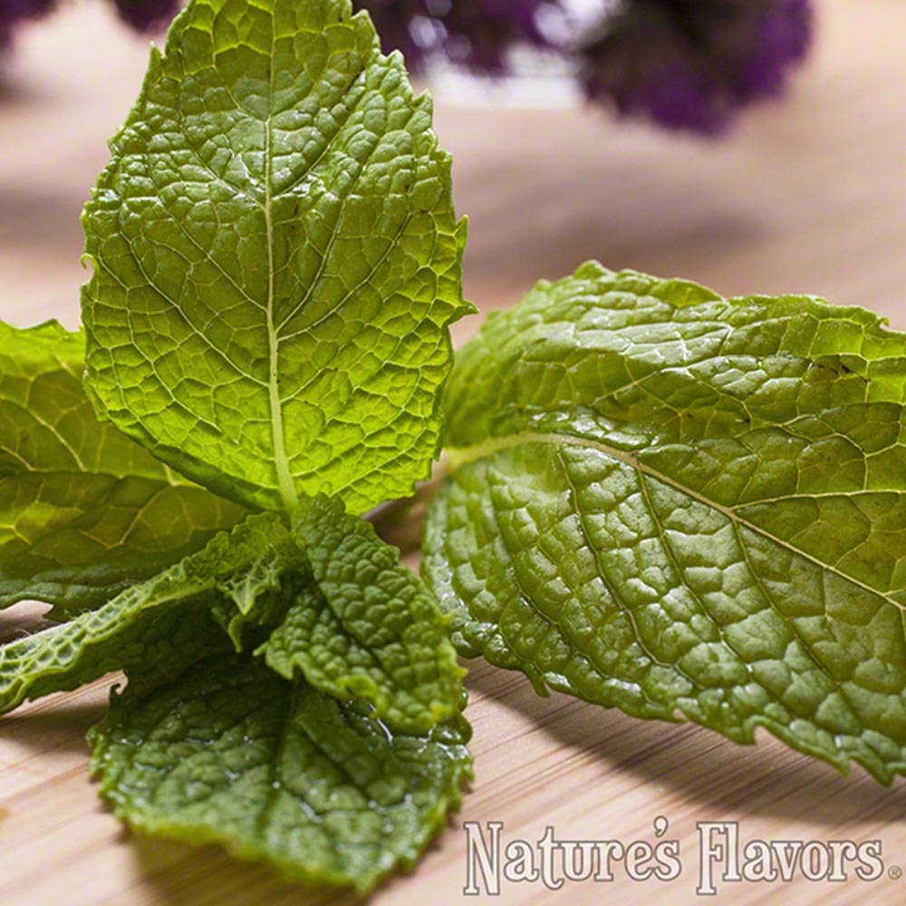 Mint Extract