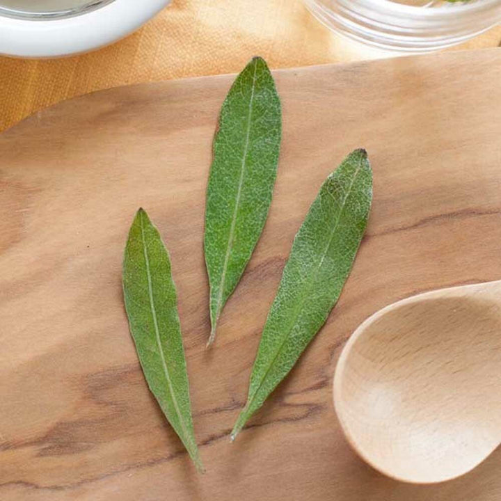 Tea Tree Essential Oil, Organic