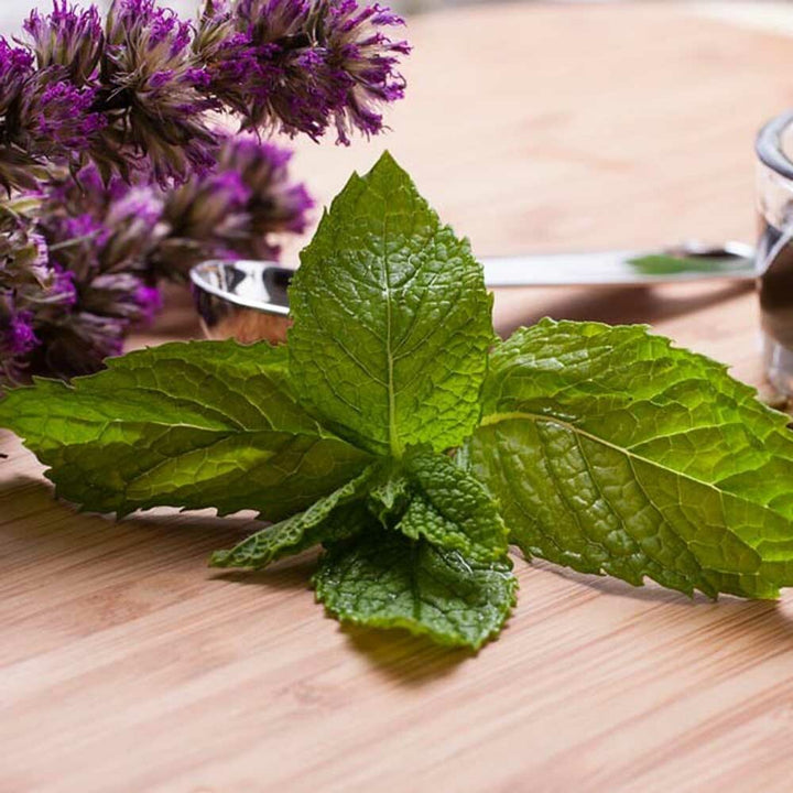 Organic Peppermint Fragrance Emulsion with Floral Notes (Water Soluble)