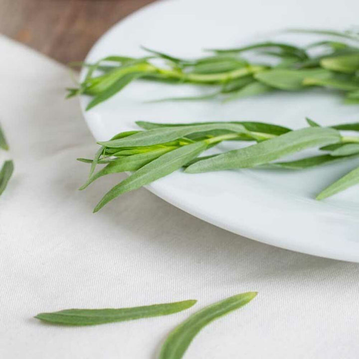 Tarragon Leaf Flavor Extract, Organic