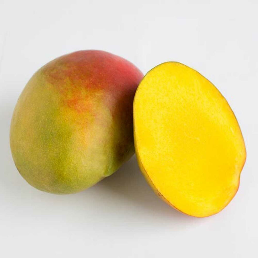 Mango Flavor Concentrate for Beverages, Organic