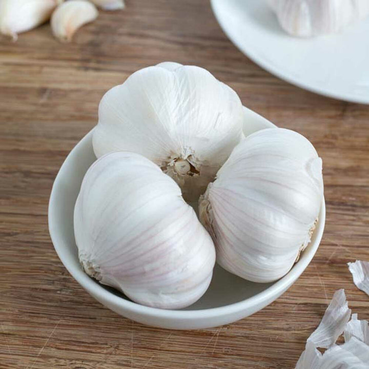 Sante Garlic Essential Oil