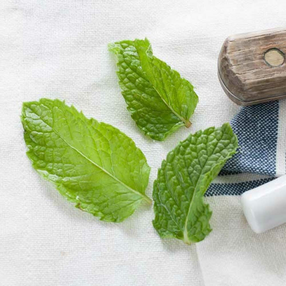 Patchouli Essential Oil, Natural