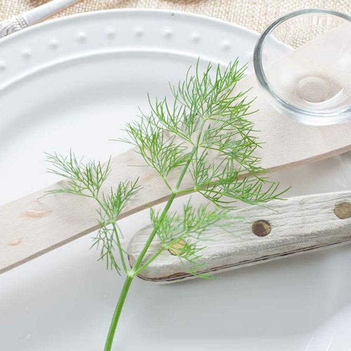 Savory Flavor Extract, Organic