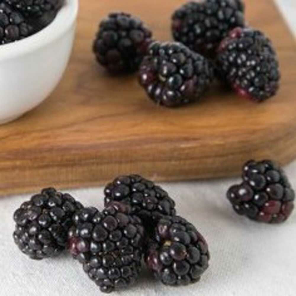 Organic Black Raspberry Flavor Extract – Nature's Flavors
